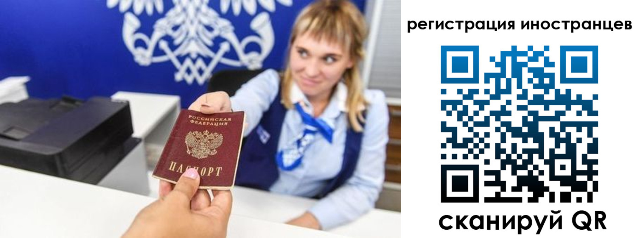 временная регистрация поиск в Ростове